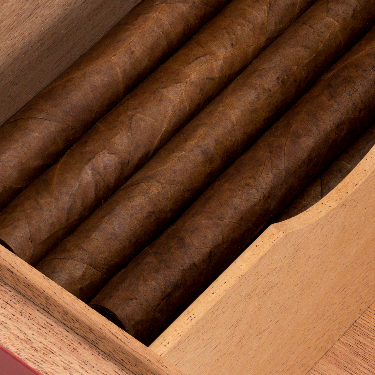 Cigar Humidor