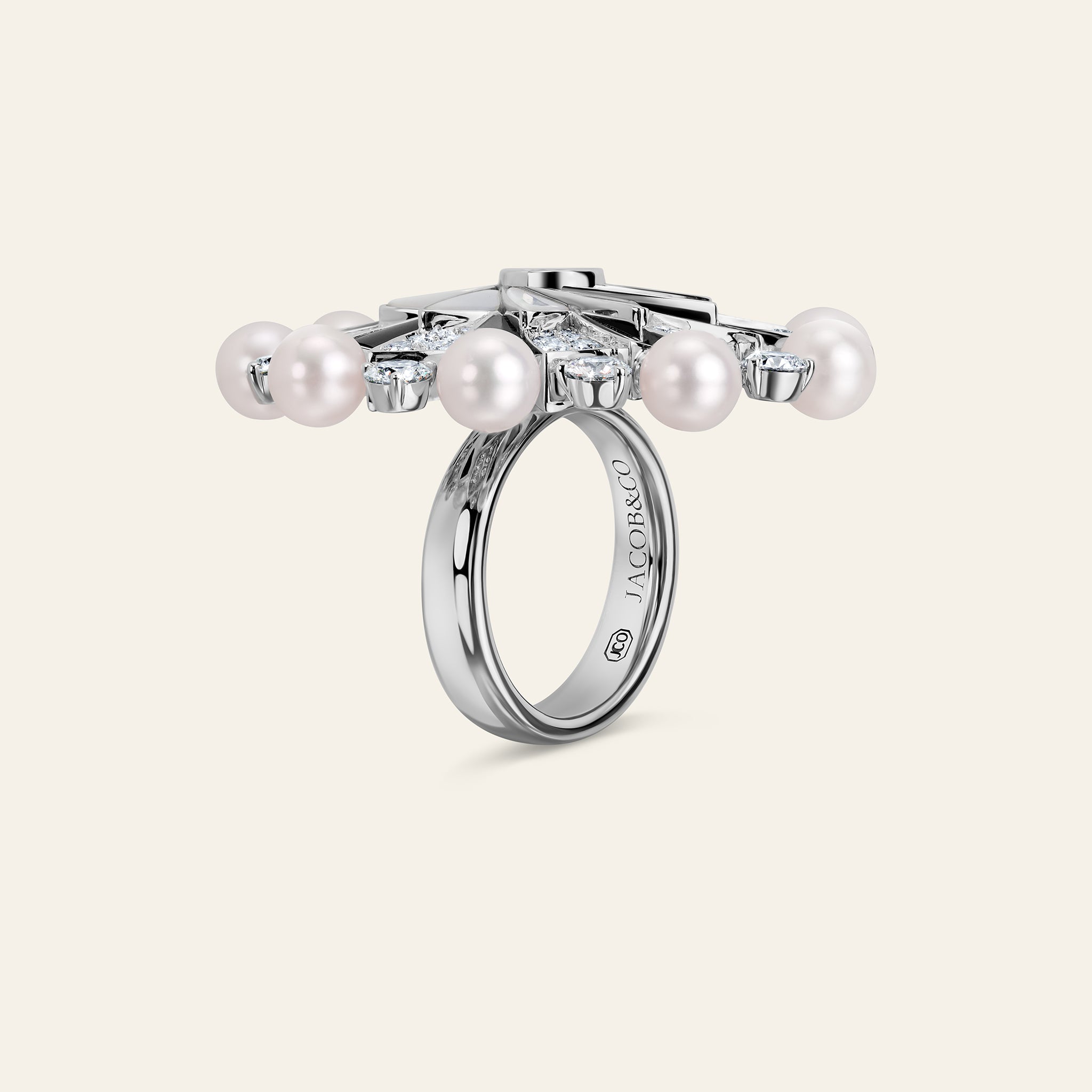 Infinia Ring Onyx and Mother of Pearl_2