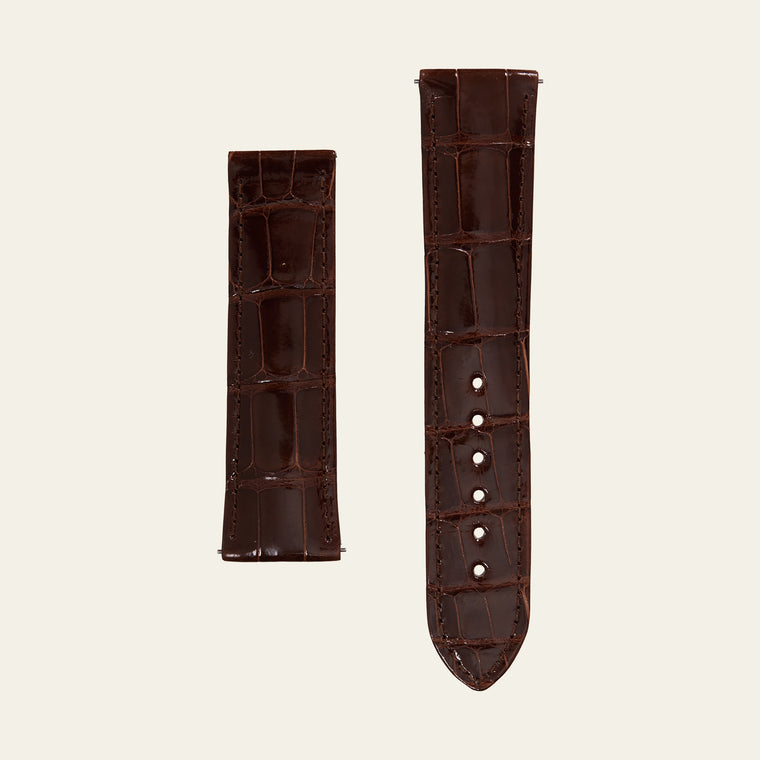 Brown Shiny Alligator Strap - L