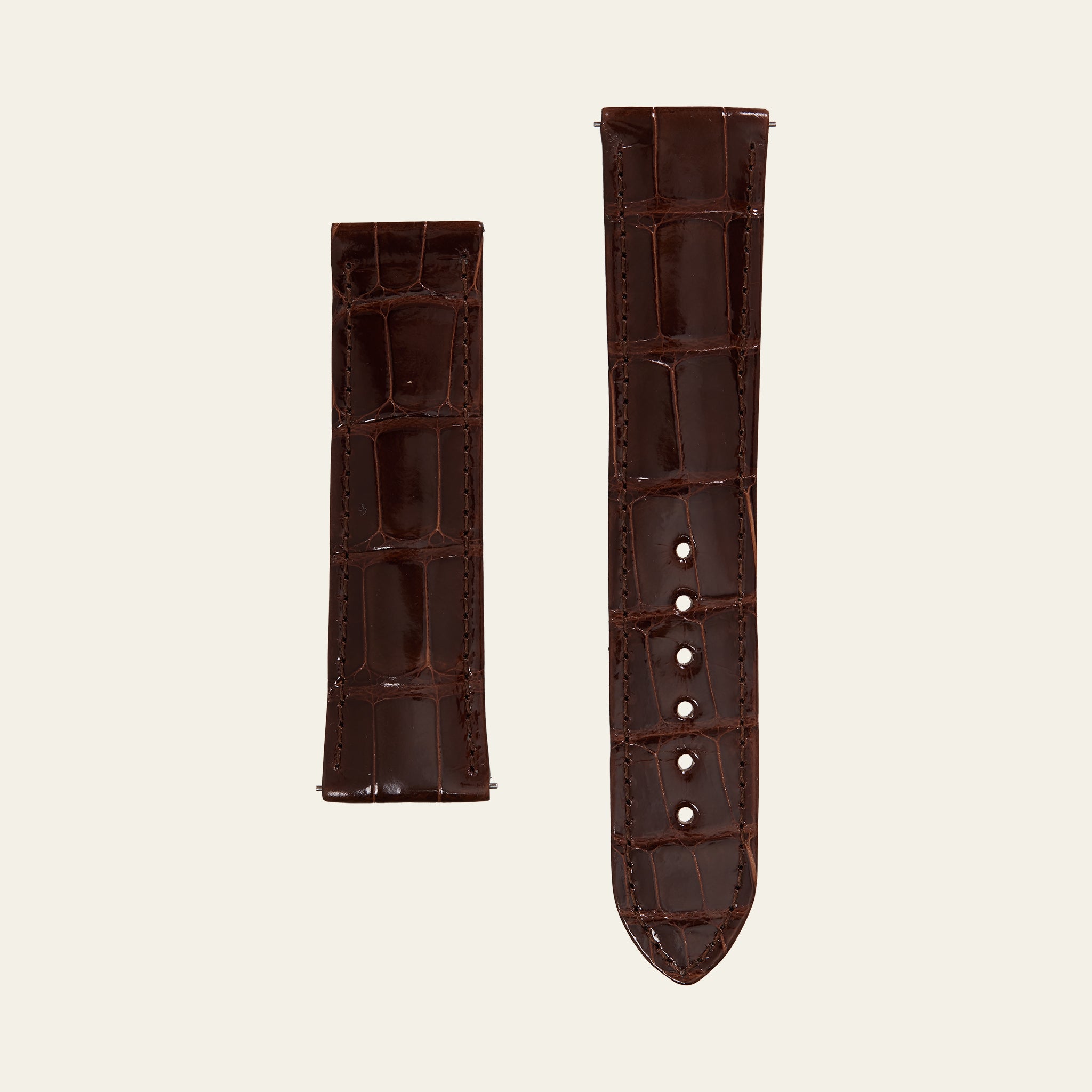 Brown Shiny Alligator Strap - M
