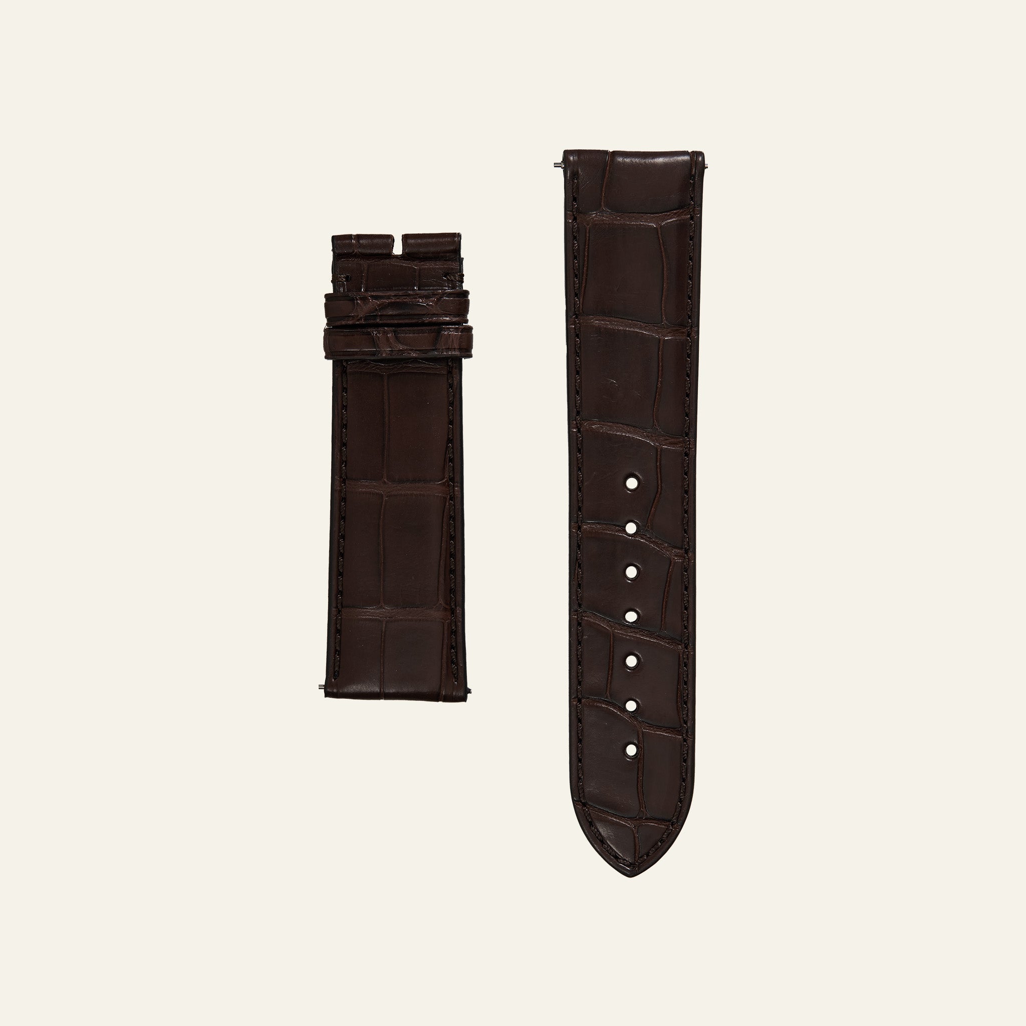 Brown Shiny Alligator Strap - L
