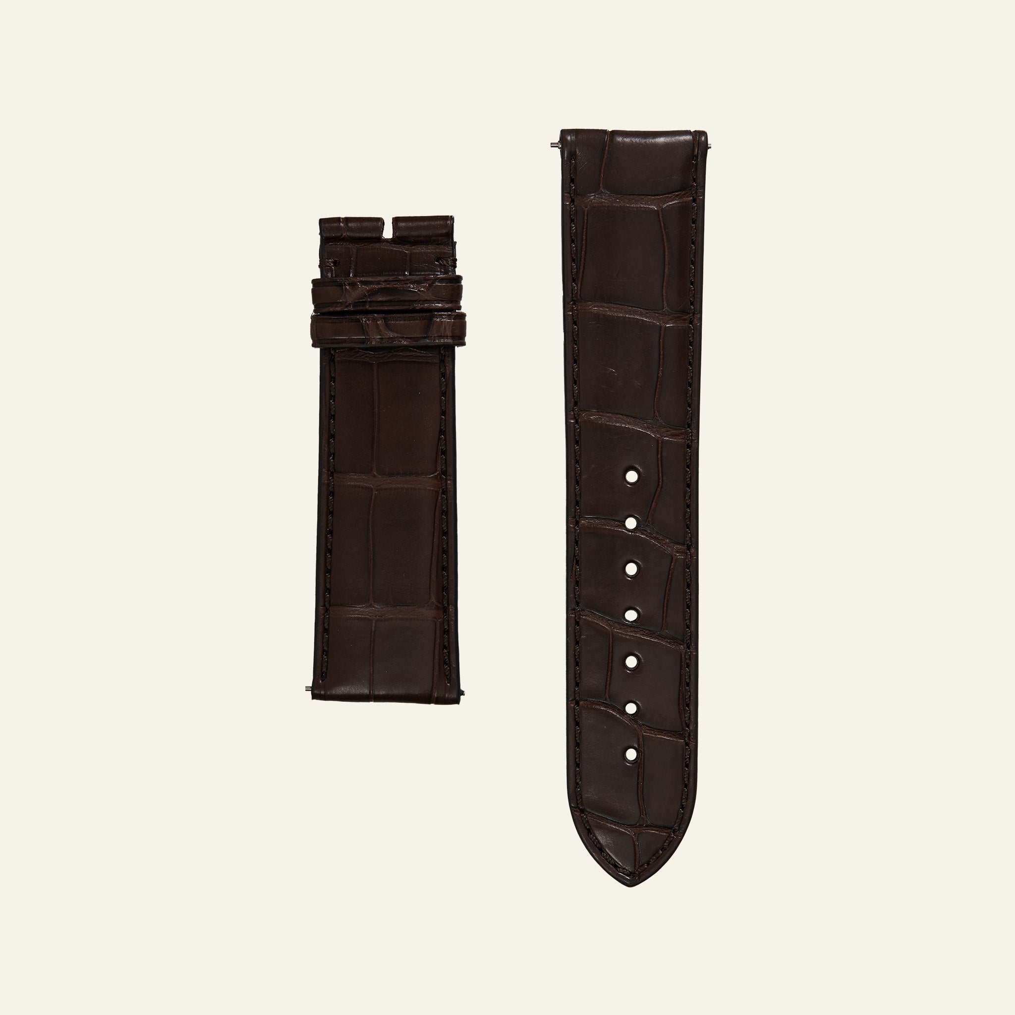 Brown Shiny Alligator Strap - M