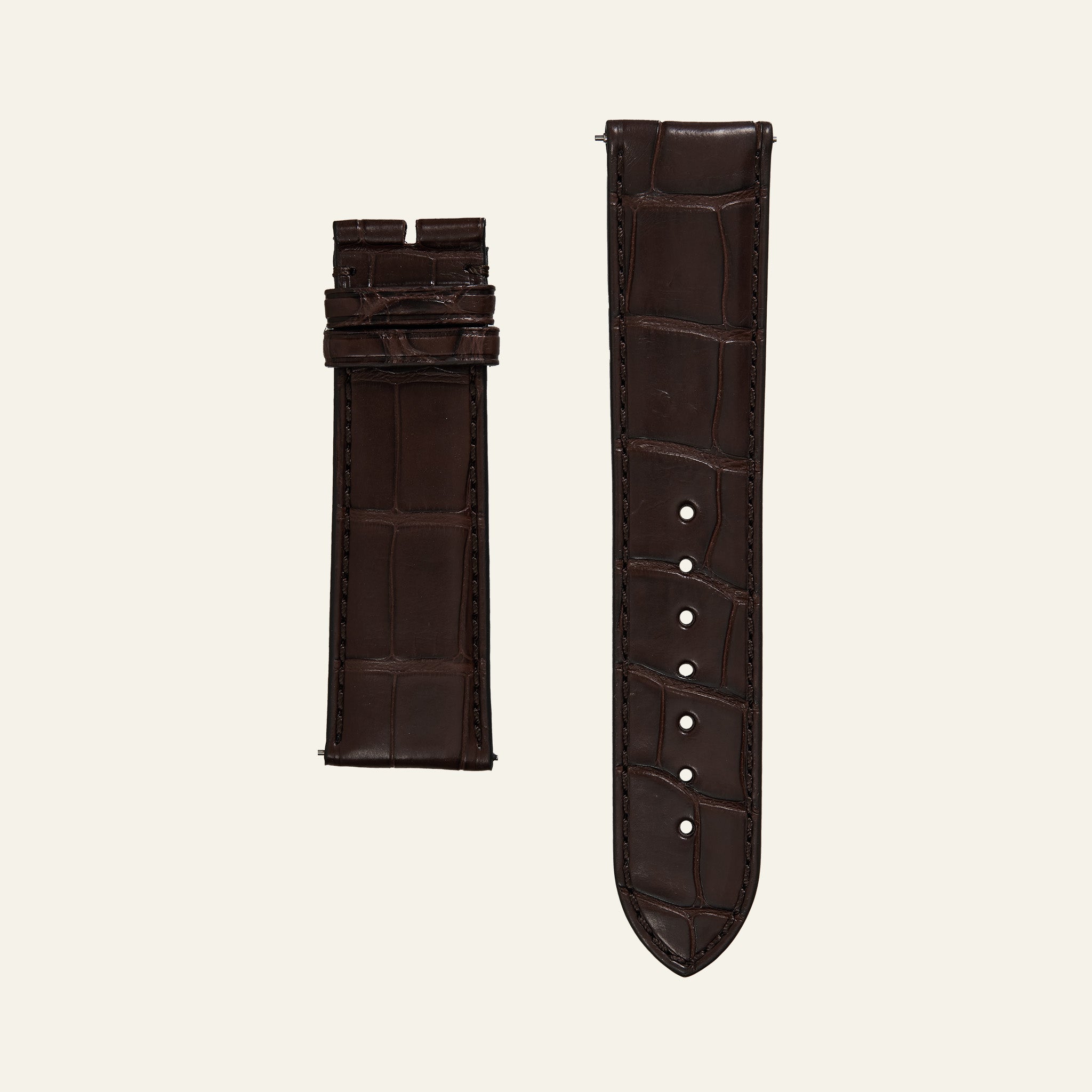Brown Shiny Alligator Strap - L