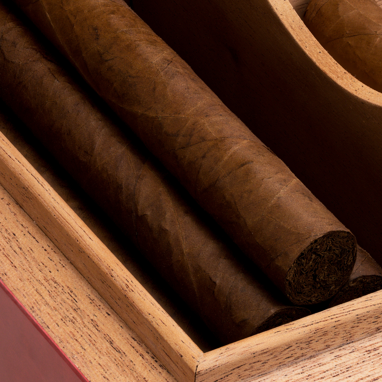 Cigar Humidor