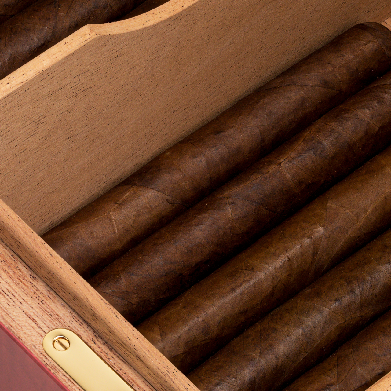 Cigar Humidor